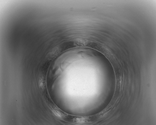 X0000071380134200606301820