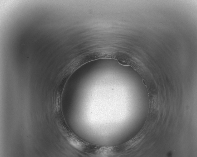 X0000071380138200606301819