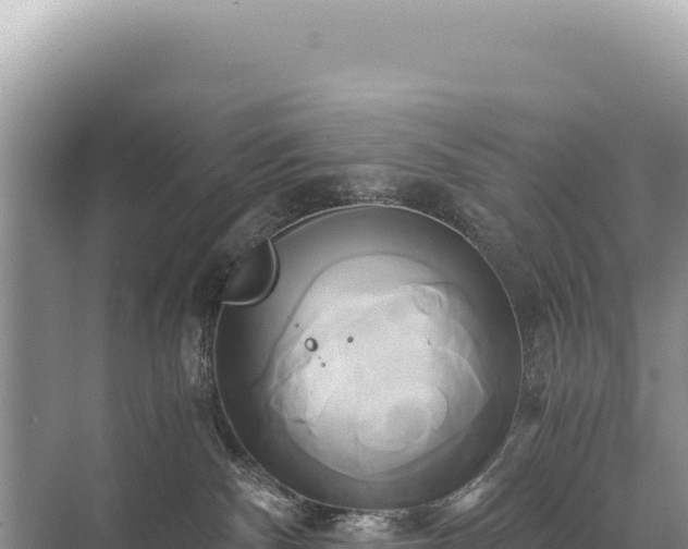 X0000071380140200606301819