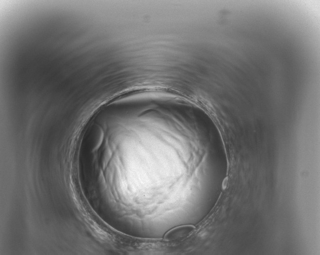 X0000071380145200606301819