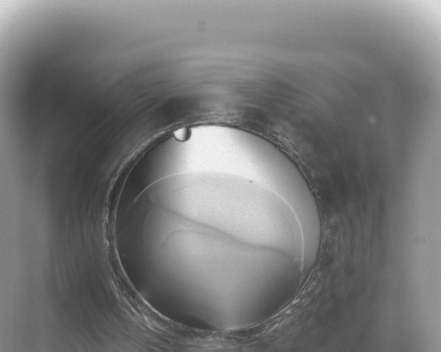 X0000071380146200606301819