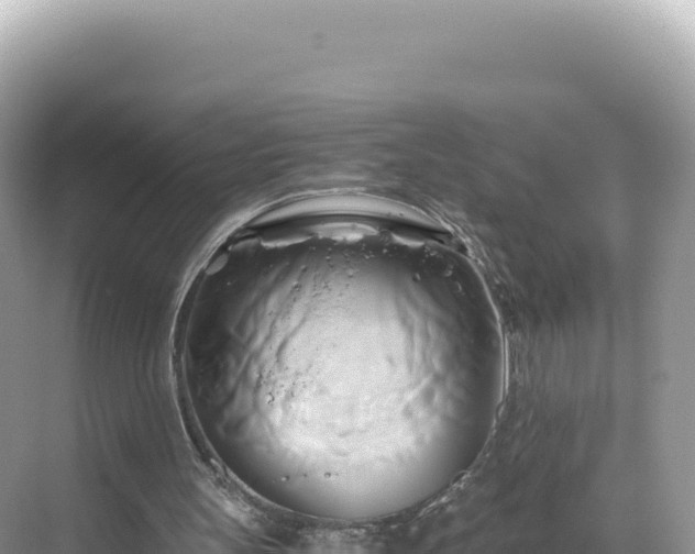 X0000071380147200606301819