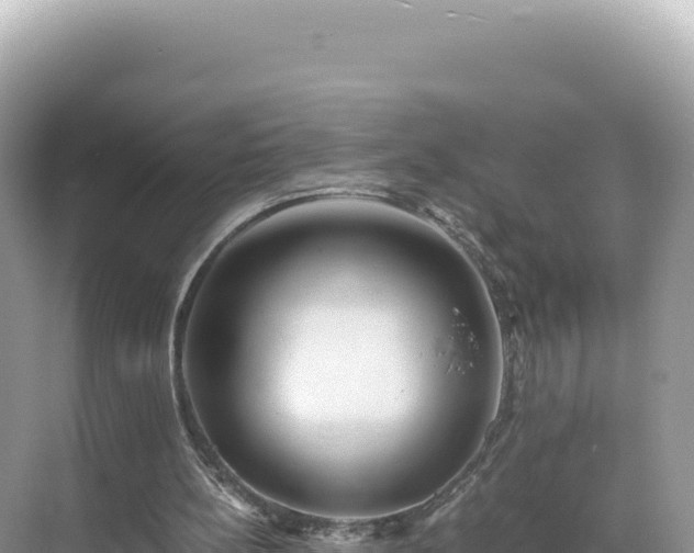 X0000071380148200606301819