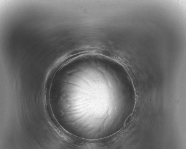 X0000071380149200606301819