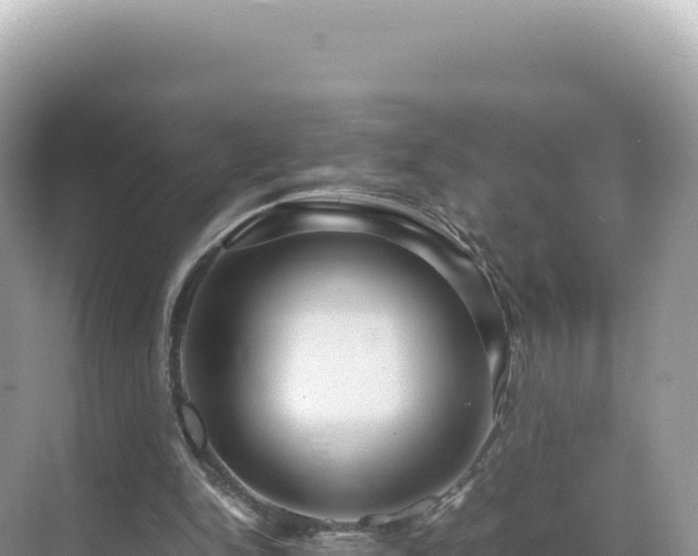 X0000071380150200606301819