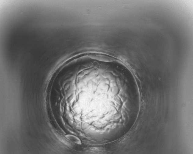 X0000071380151200606301819