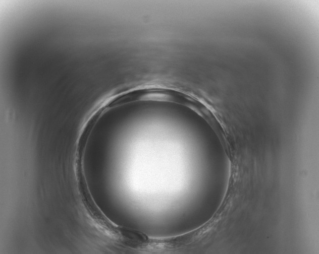 X0000071380152200606301819