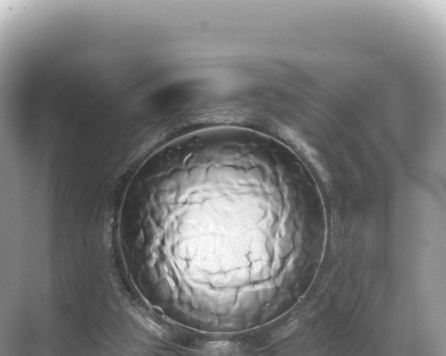 X0000071380153200606301819