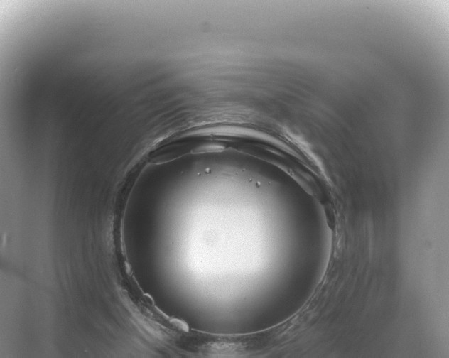 X0000071380154200606301819