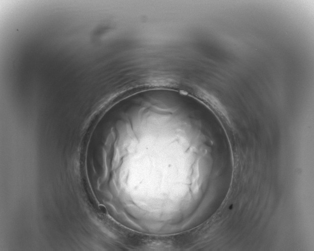 X0000071380155200606301819