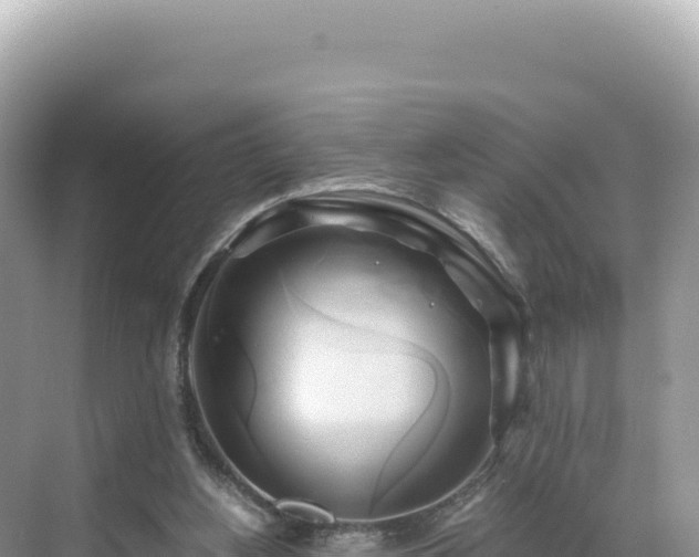 X0000071380156200606301819