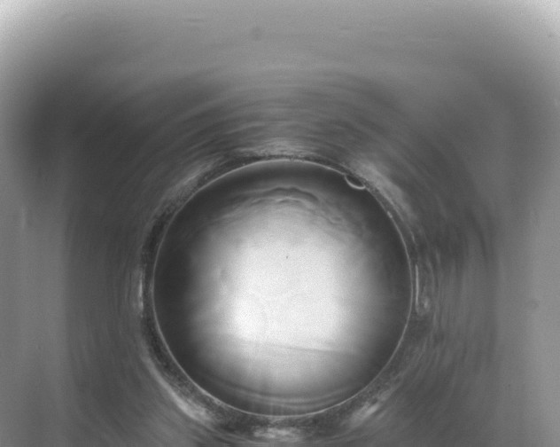 X0000071380157200606301819