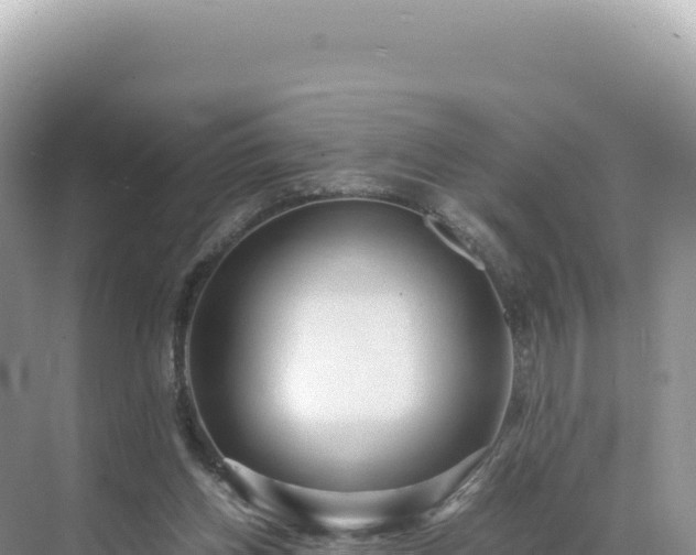 X0000071380158200606301819