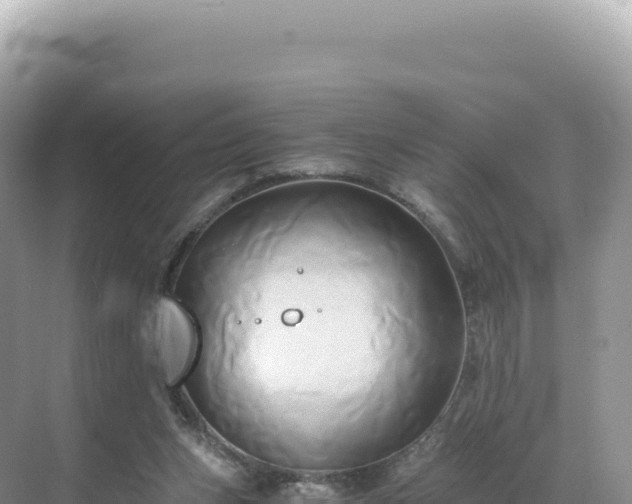 X0000071380159200606301819