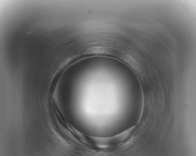 X0000071380160200606301819