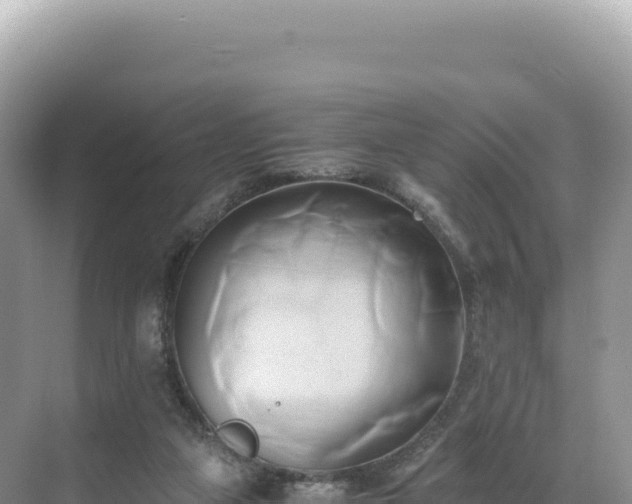 X0000071380161200606301819