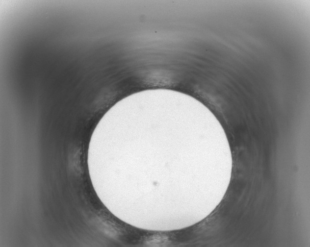 X0000071380162200606301819