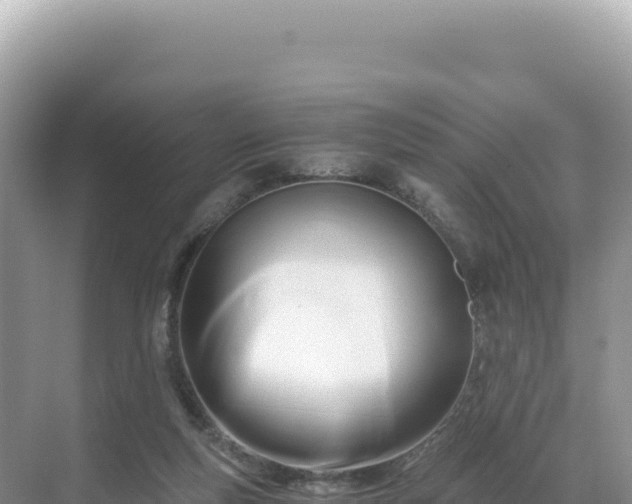 X0000071380163200606301819