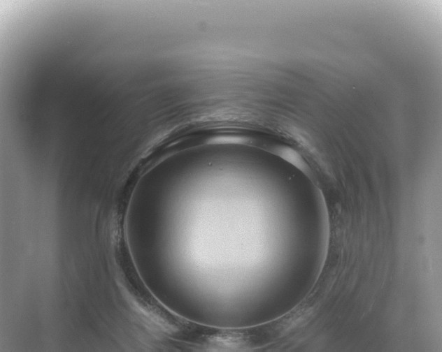 X0000071380164200606301819