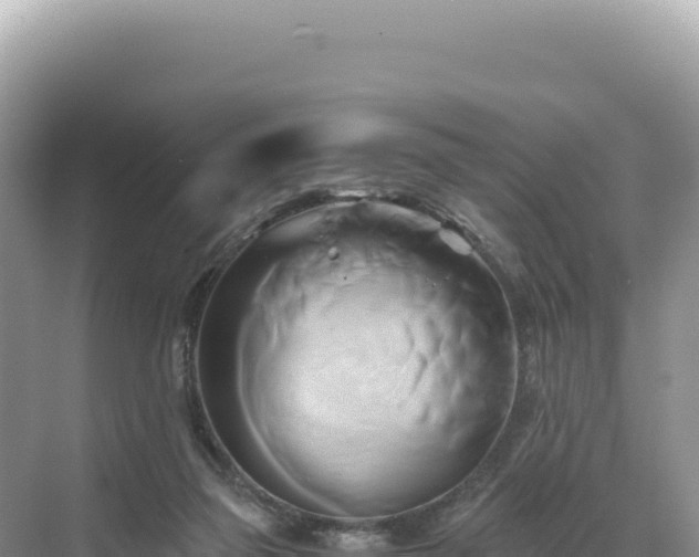 X0000071380165200606301819