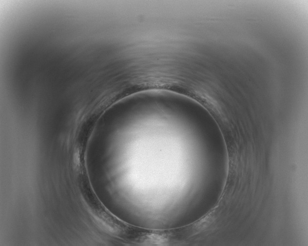 X0000071380166200606301819