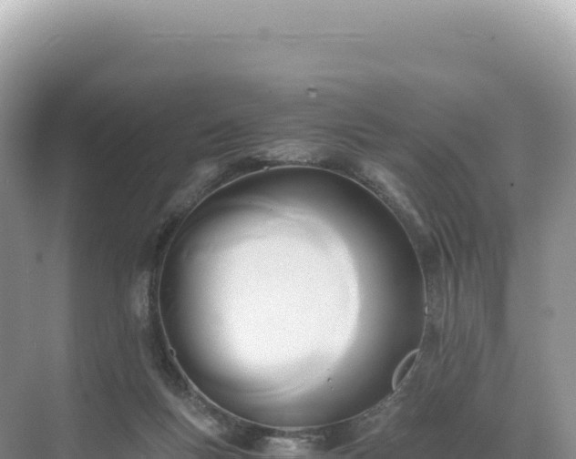 X0000071380167200606301819