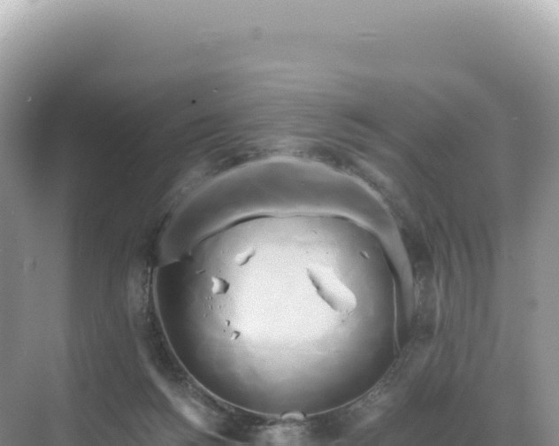 X0000071380168200606301819