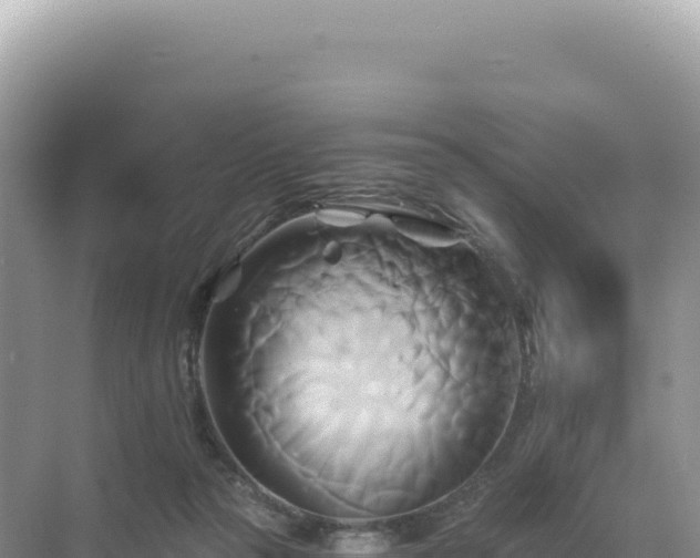 X0000071380169200606301819