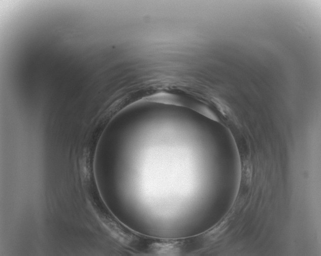 X0000071380170200606301819