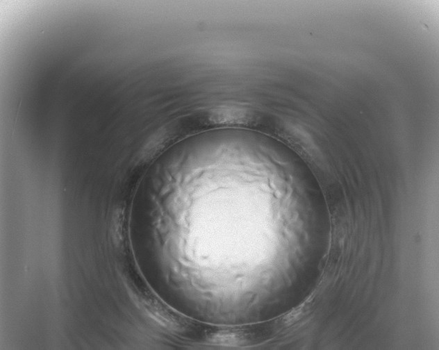 X0000071380171200606301819