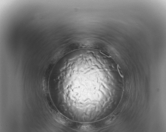 X0000071380173200606301819