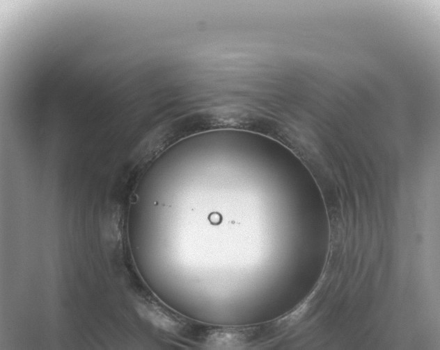 X0000071380174200606301819