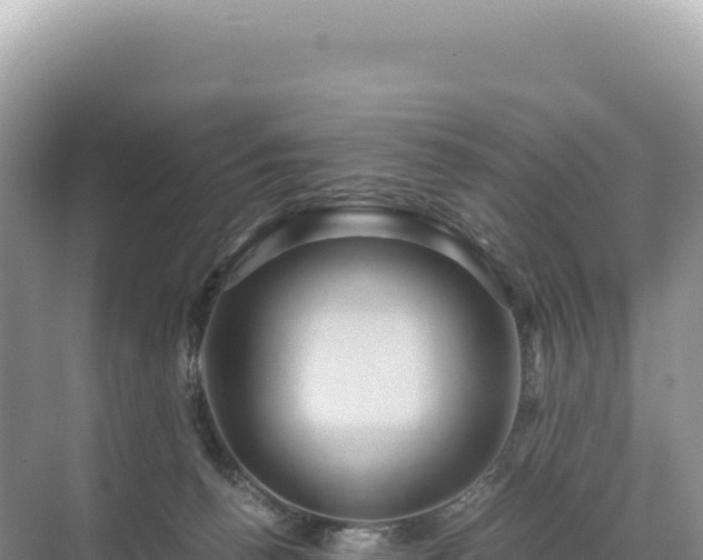 X0000071380176200606301819