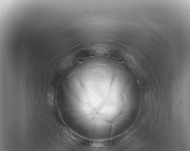 X0000071380177200606301819