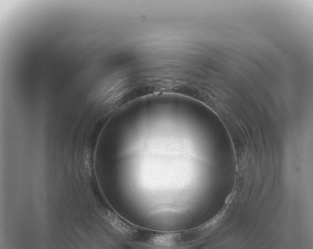 X0000071380178200606301819