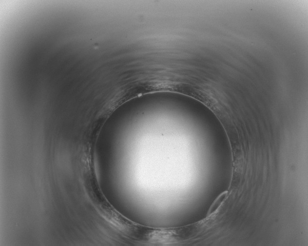 X0000071380179200606301819