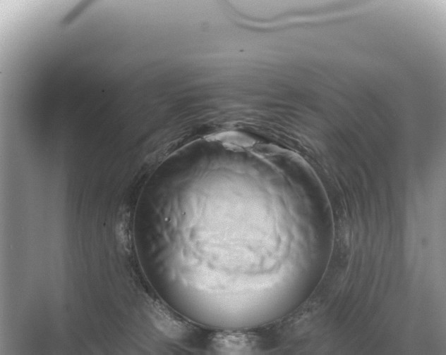 X0000071380181200606301819