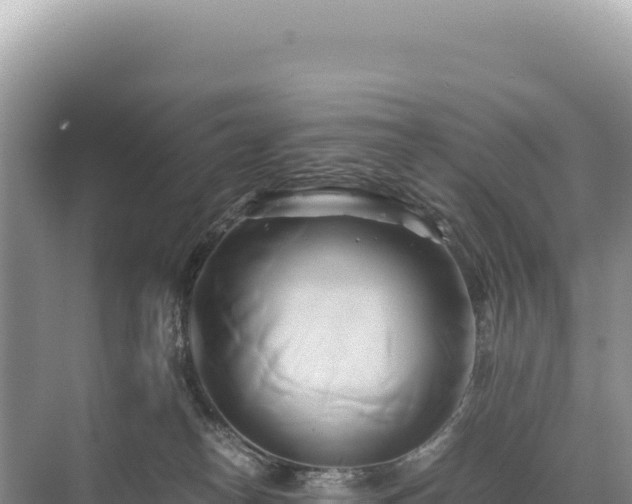 X0000071380182200606301819