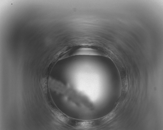 X0000071380184200606301819