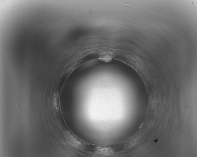 X0000071380185200606301819