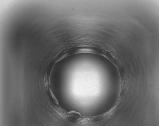 X0000071380186200606301819