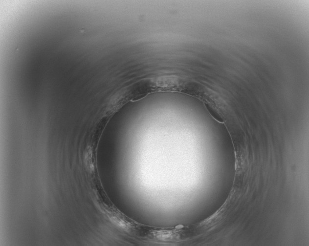 X0000071380187200606301819