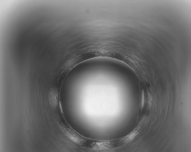 X0000071380188200606301819