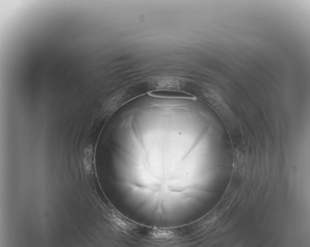 X0000071380189200606301819