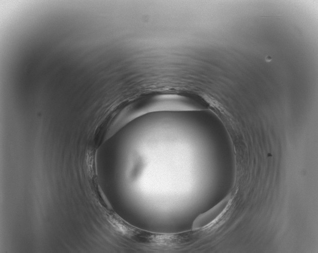 X0000071380192200606301819