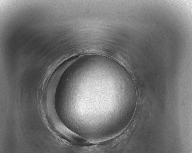 X0000071380193200606301819