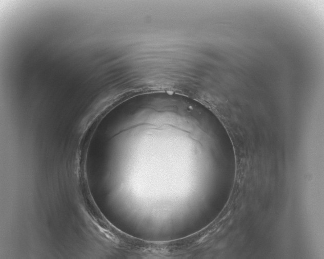 X0000071380194200606301819