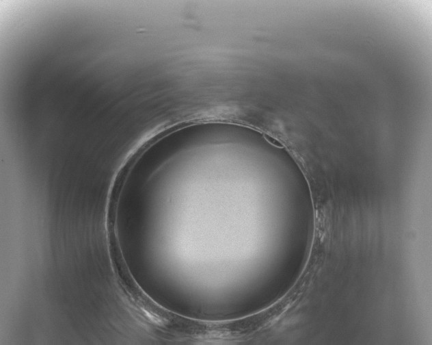 X0000071380196200606301819