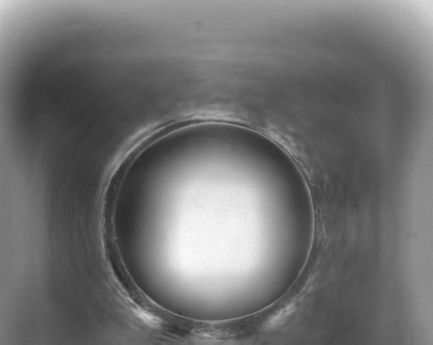 X0000071380199200606301818