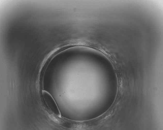 X0000071380200200606301818